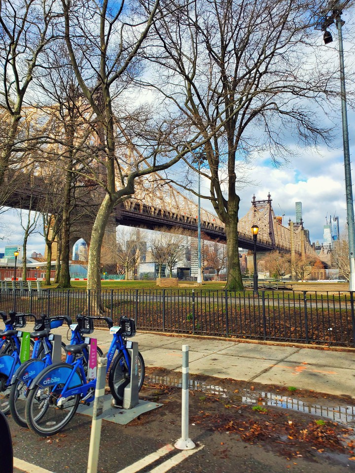 Under The Bridge