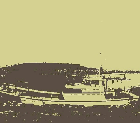 in the year 1875