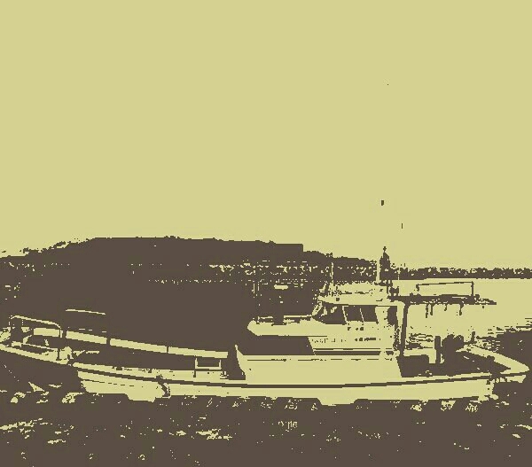 in the year 1875