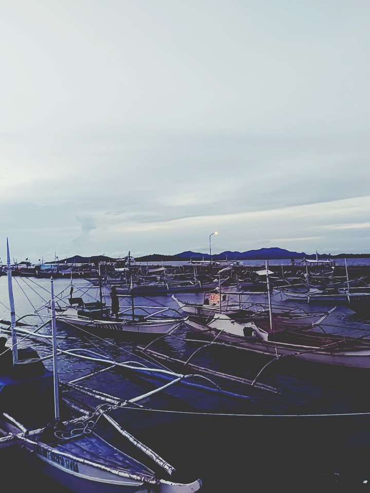 fishing boats