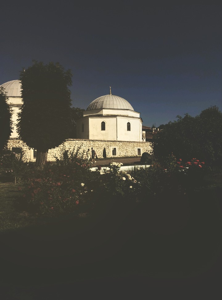 the garden