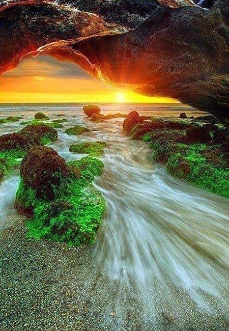 природа