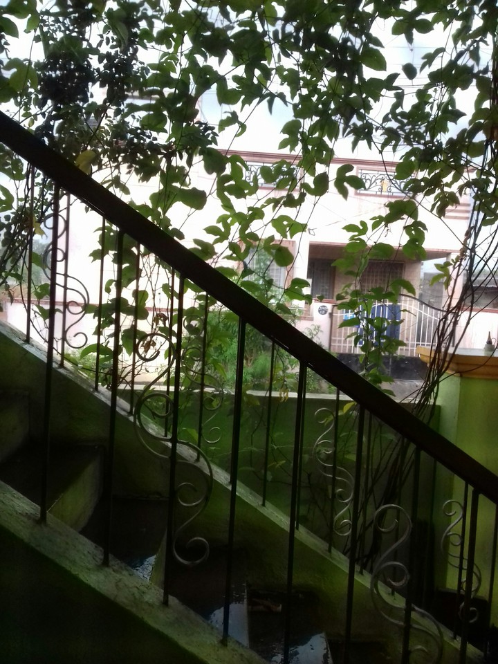 through window