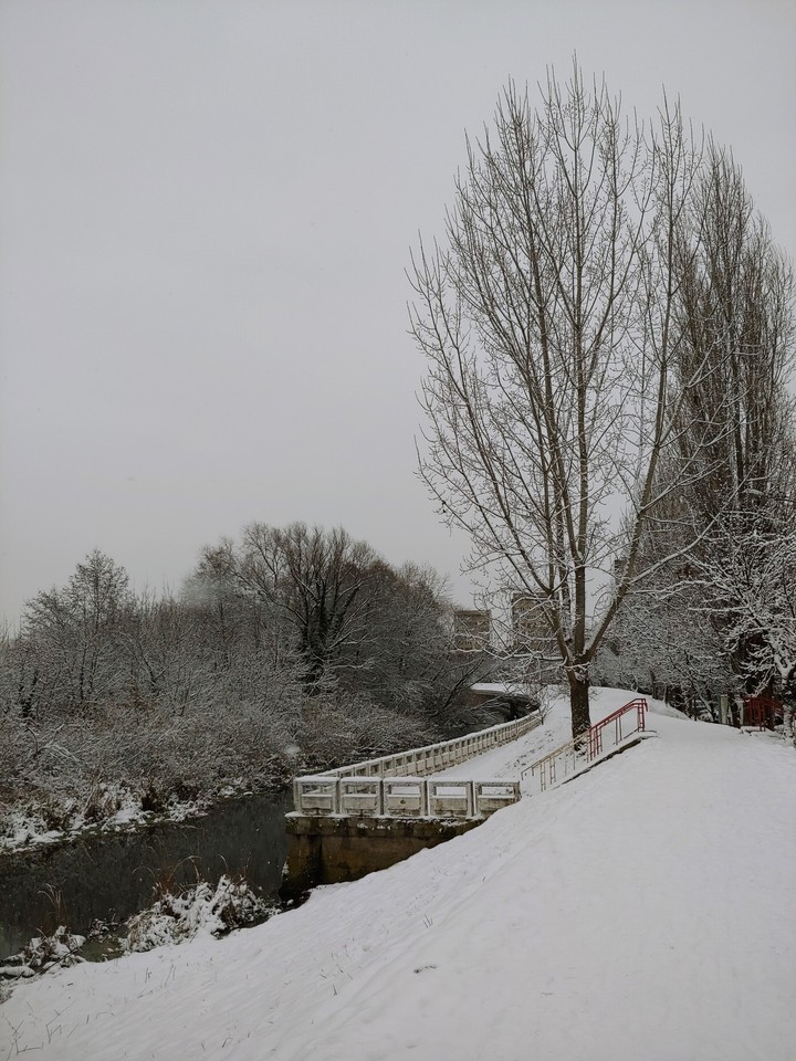 winter