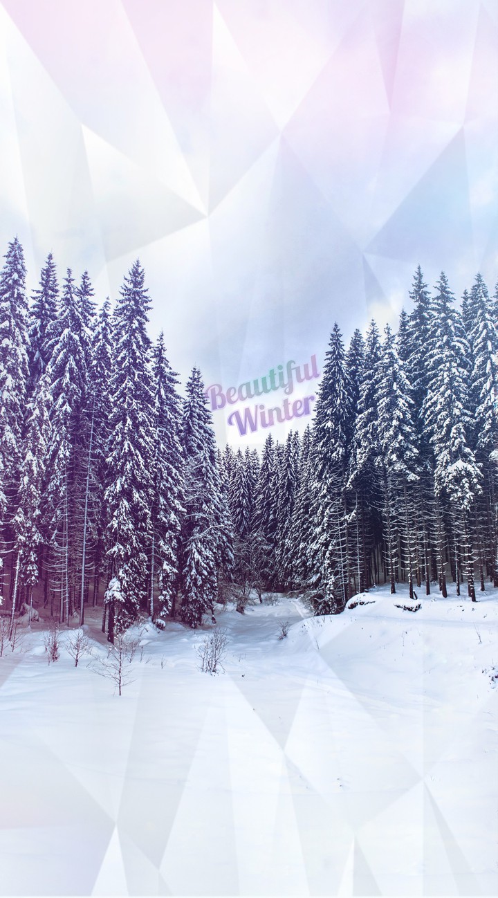 Cool Winter