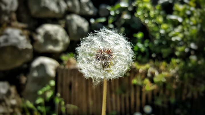 Spring