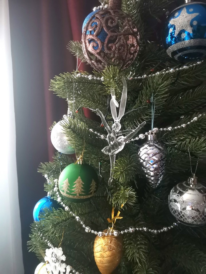 Mary christmas