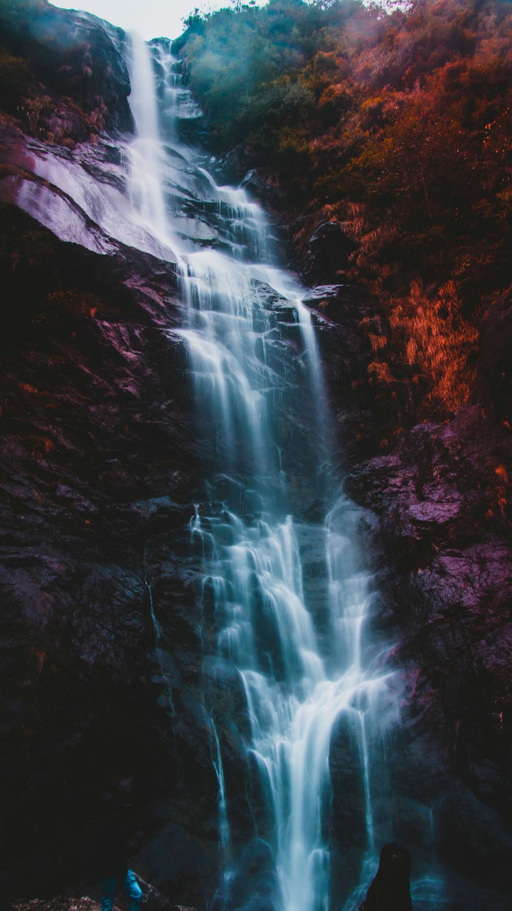 Nature??