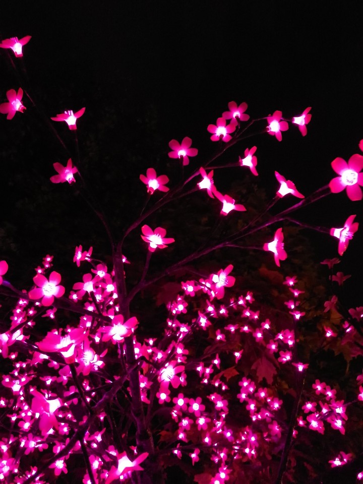 night light