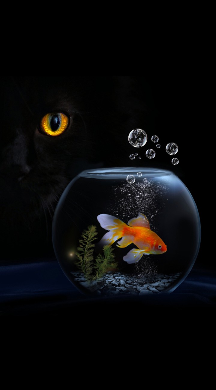 "View from the Outside" /My Creative Work/
