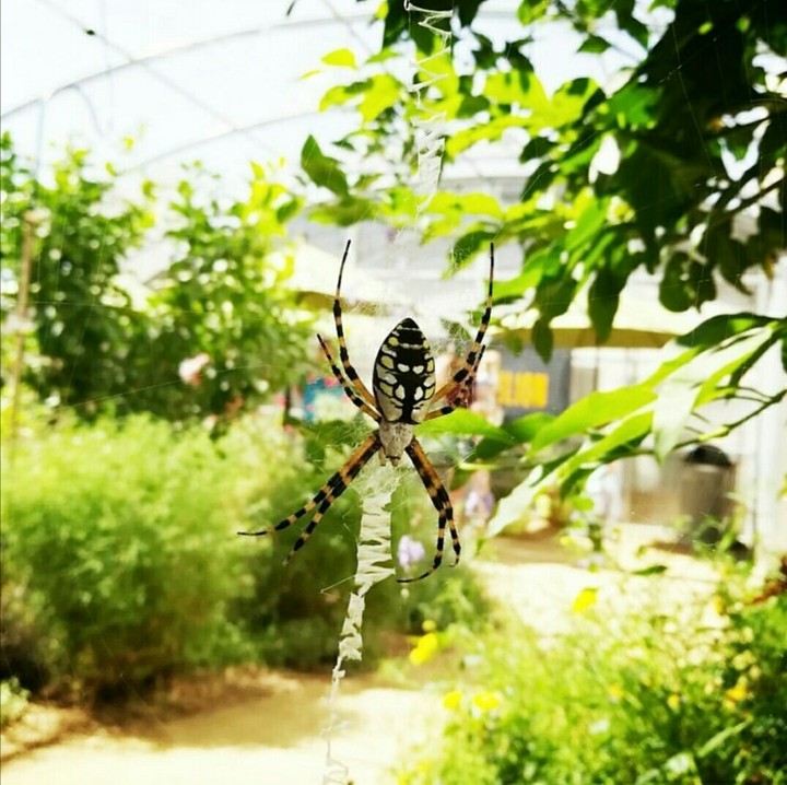 Natural History Museum LA