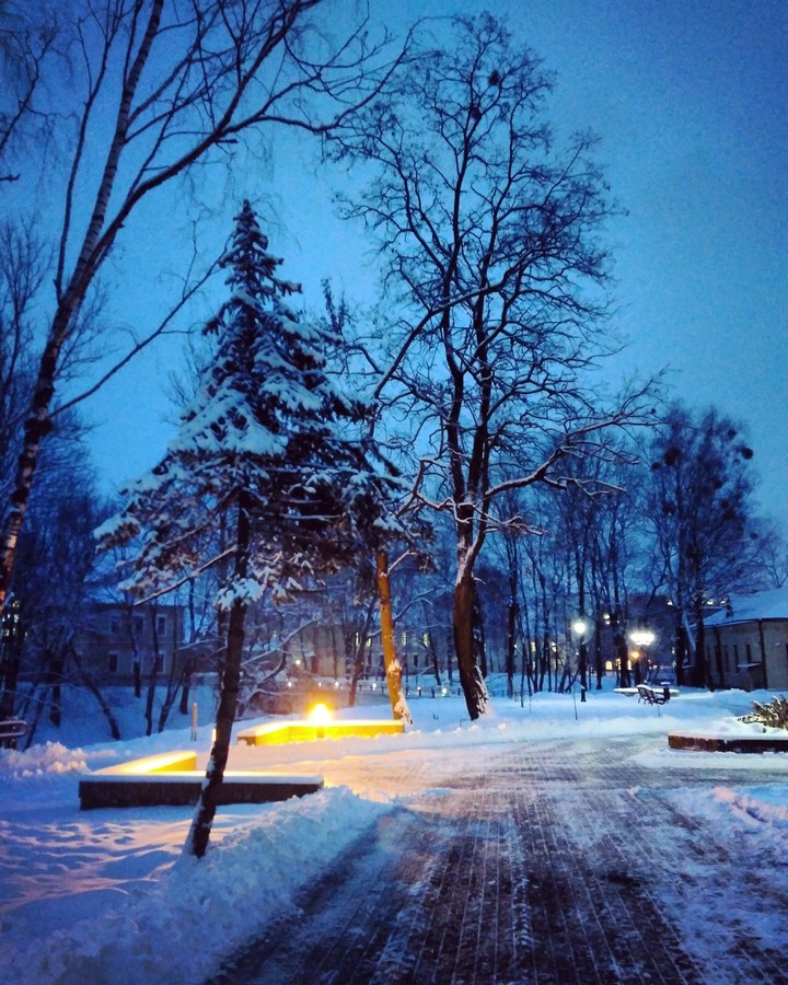 winter light