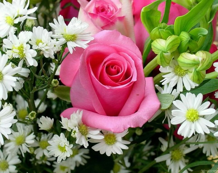 flowers