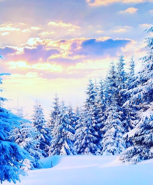 #winter #snow #зима #снег