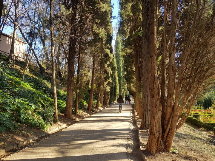 Frumuşeață pă Alhambra