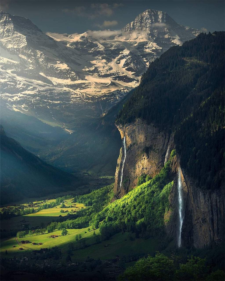 Swiss