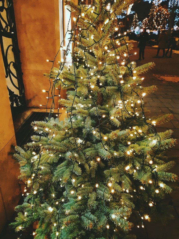 Christmas is coming