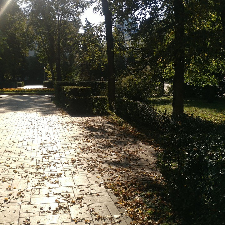 Самара