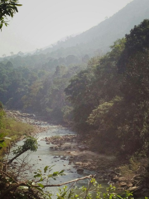 beautiful
