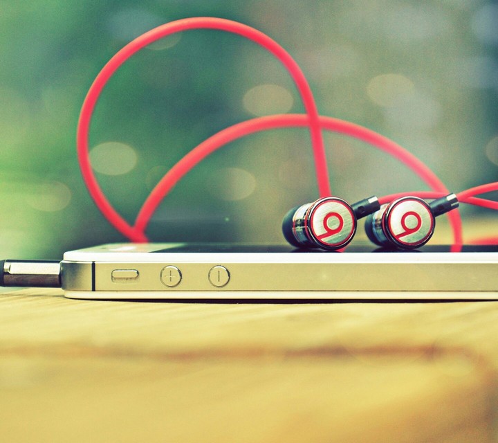 Music lovers