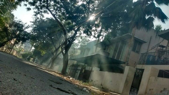 Through canopy....
