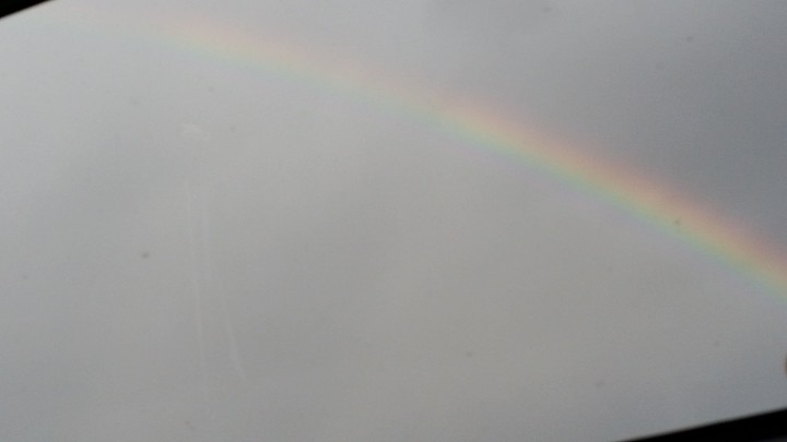 Dawn Rainbow