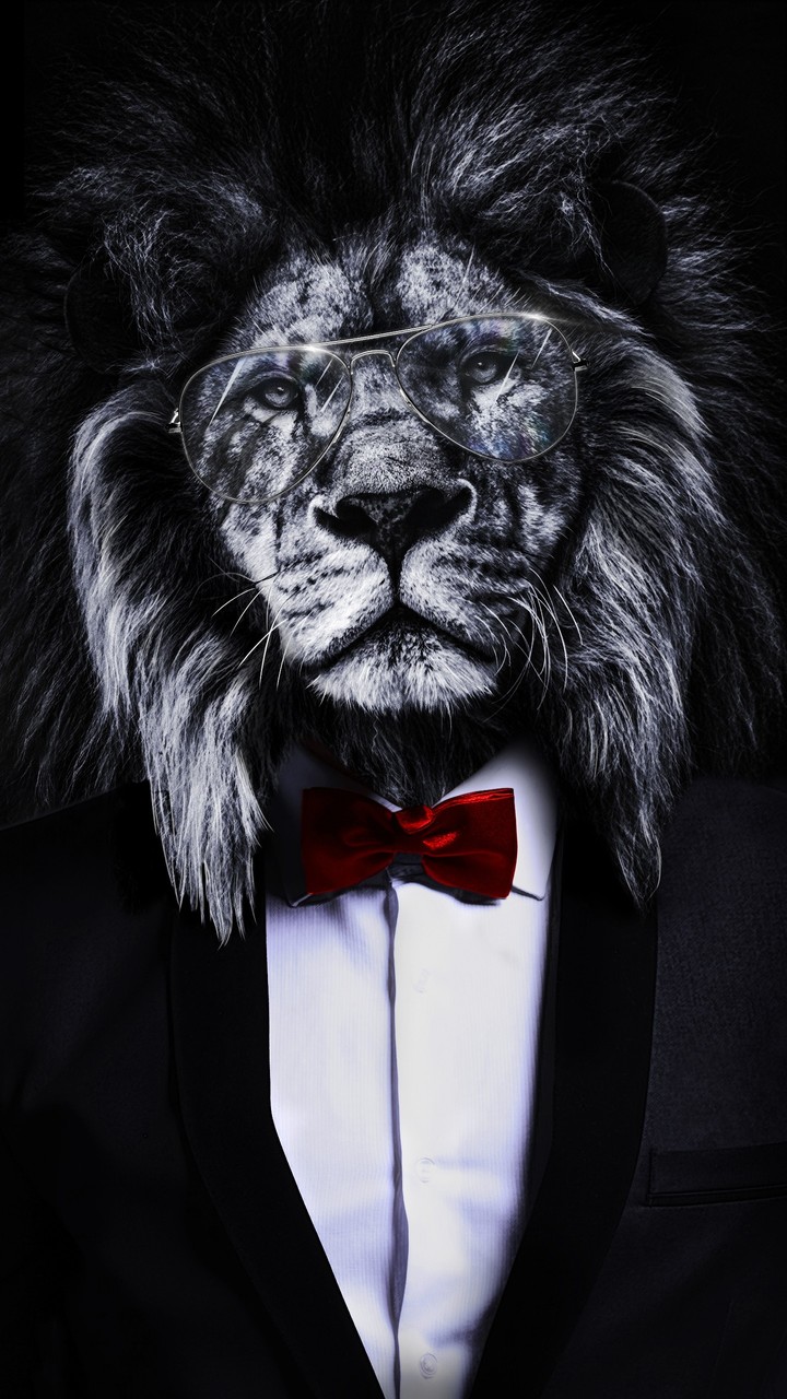 lion
