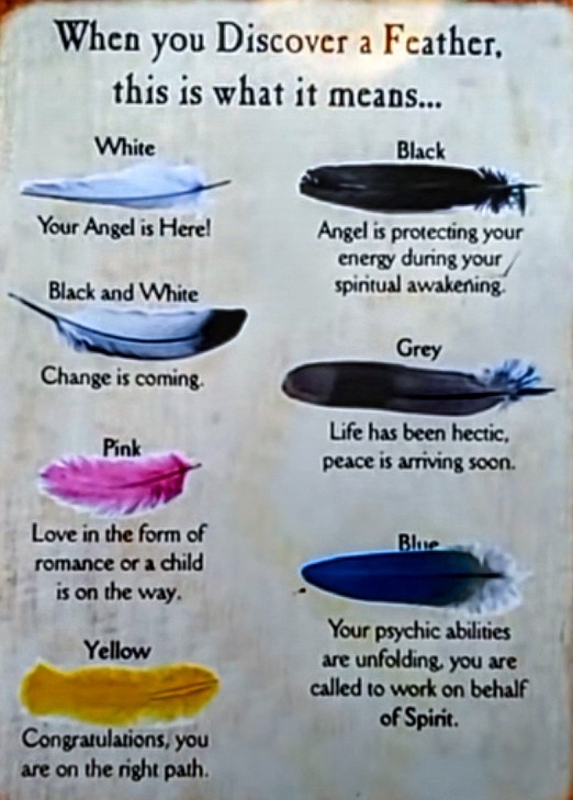 feather guide