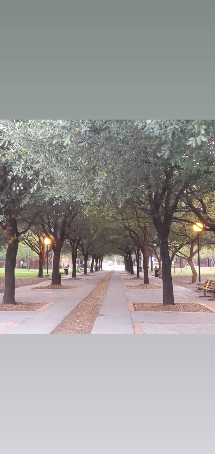 hermoso paisaje parque fundidora, Monterrey México