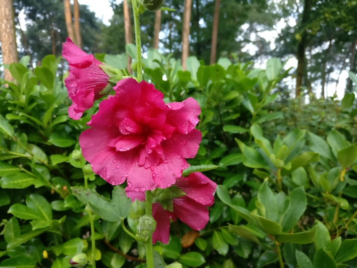 Ruhe und Frieden