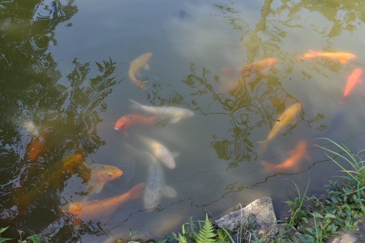 지리산이미지