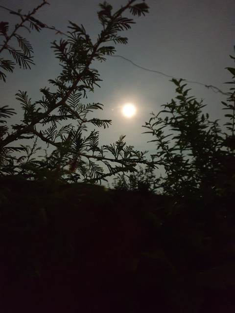 fondos de pantalla sky, moonlight