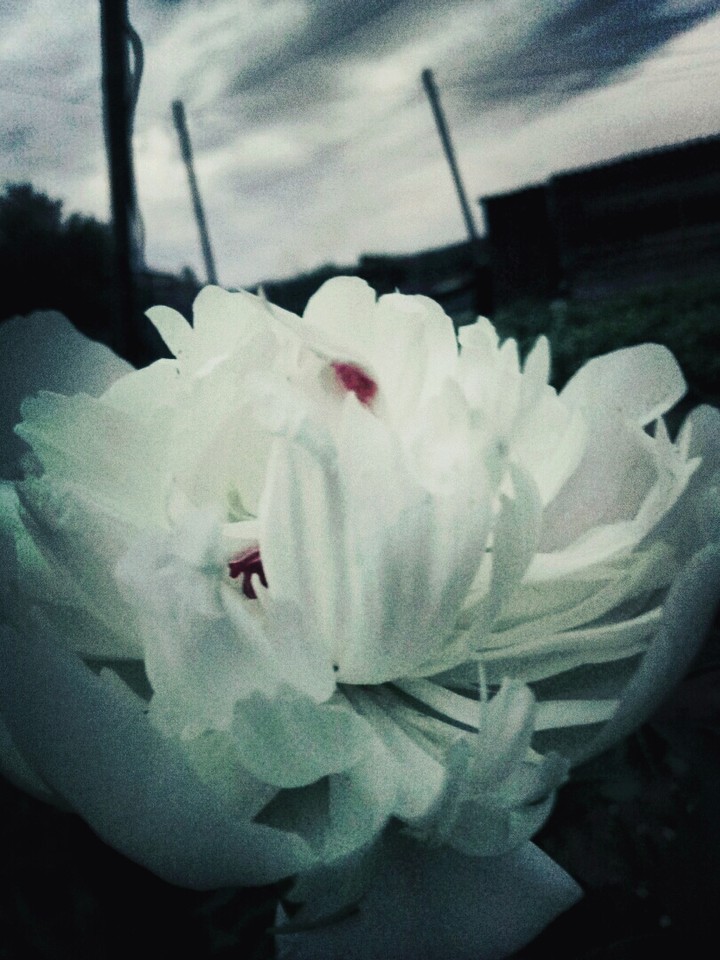 bad weather
