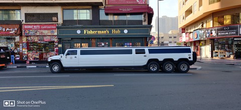 long hummer