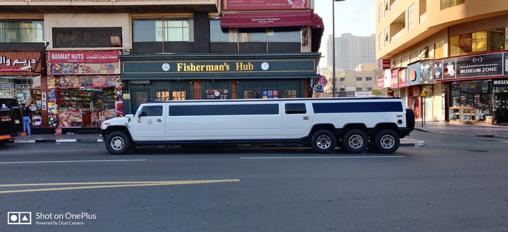 long hummer