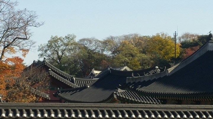 고궁