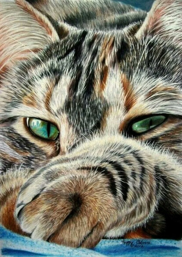 Котик