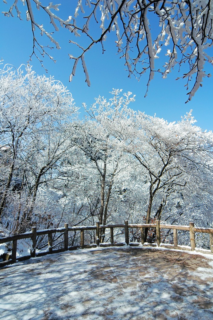 풍경이미지