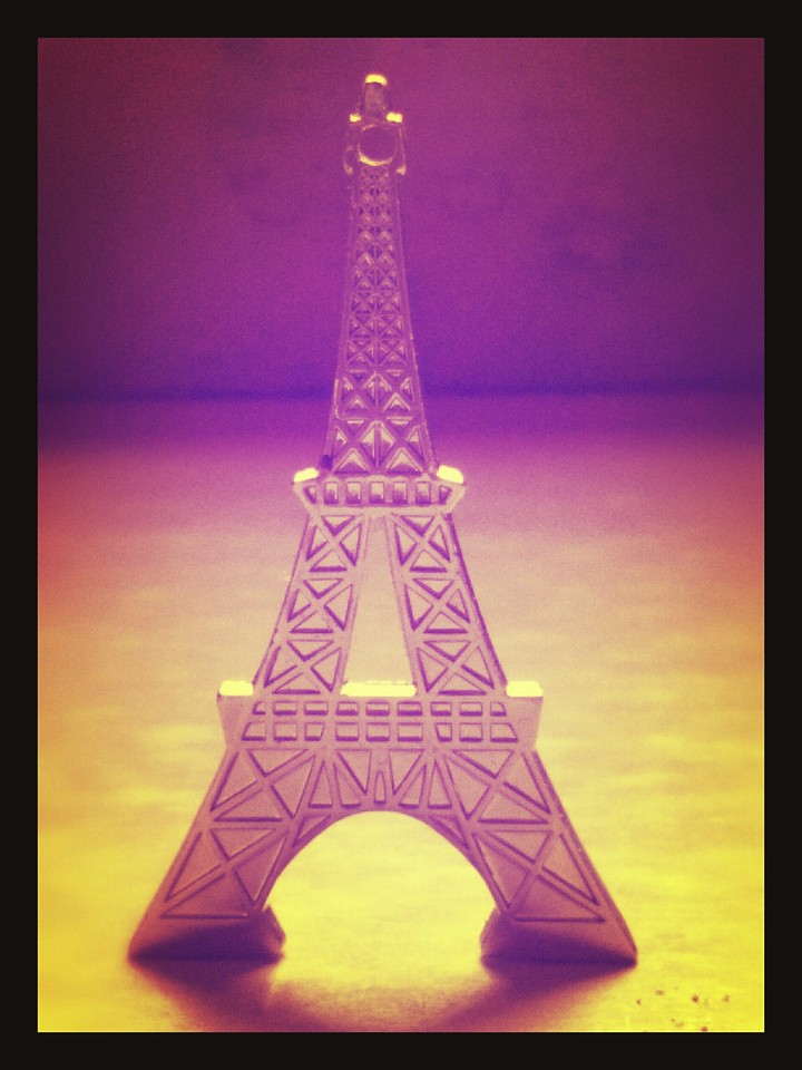 LOVE IN PARIS