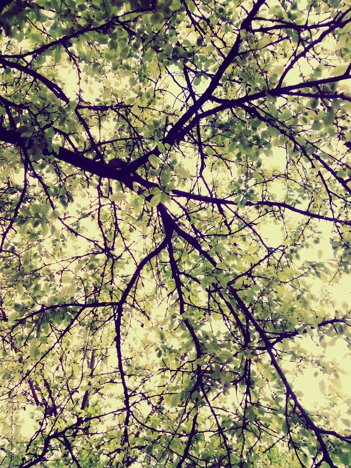 Looking up