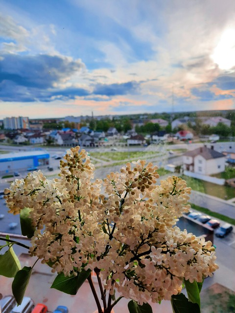 18.05.20