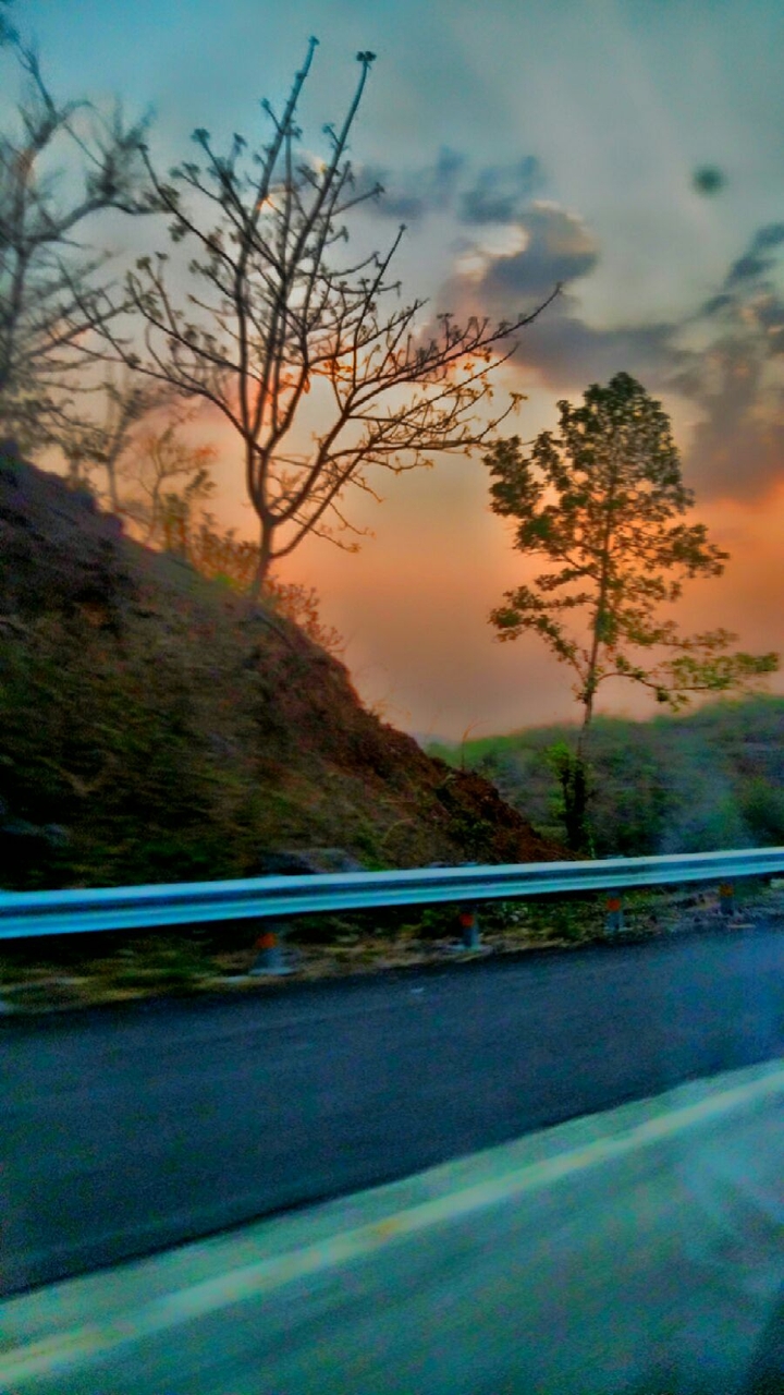 The Winter Breeze ©Yash Shinde