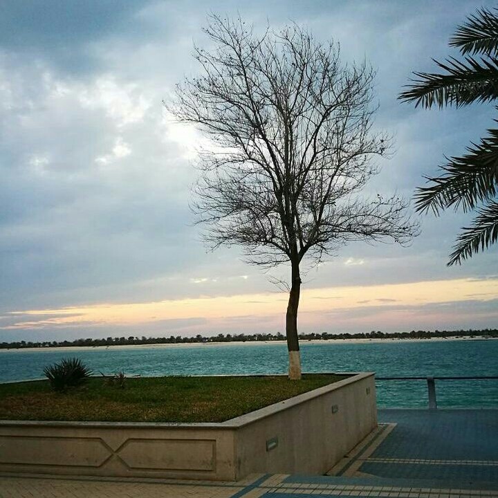 An evening walk
