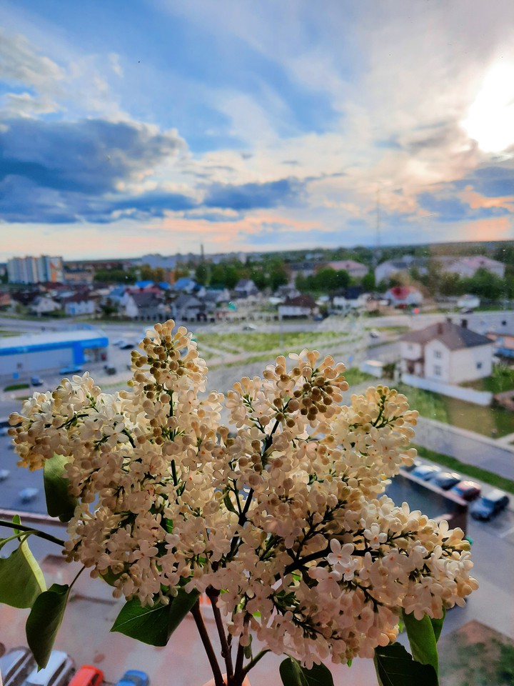 18.05.20
