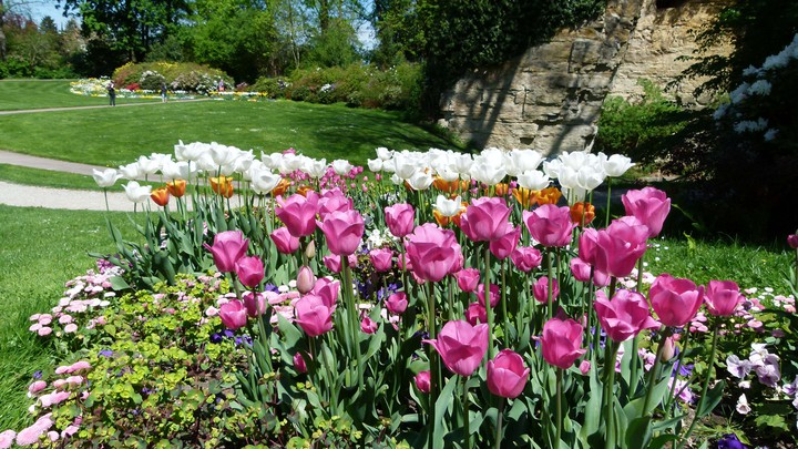 Blühendes Barock Schloss Ludwigsburg