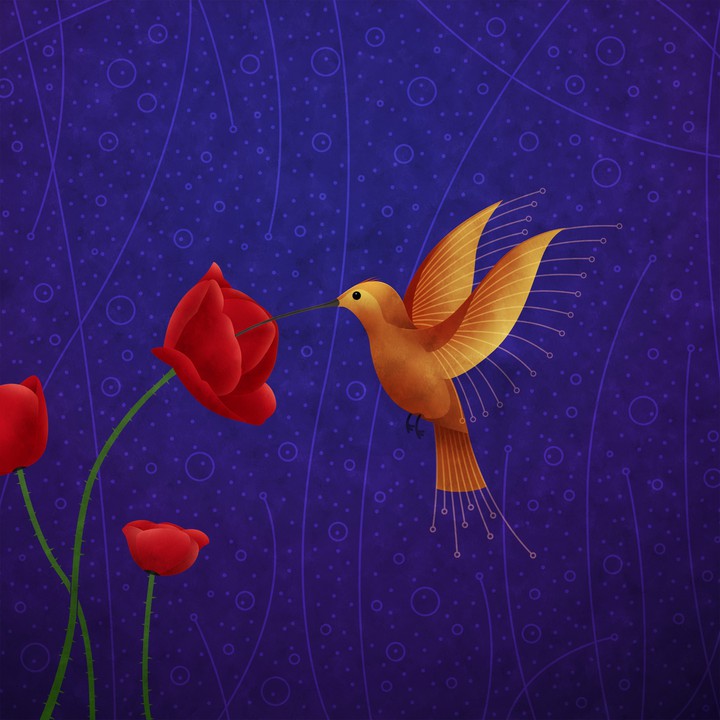 humming bird .