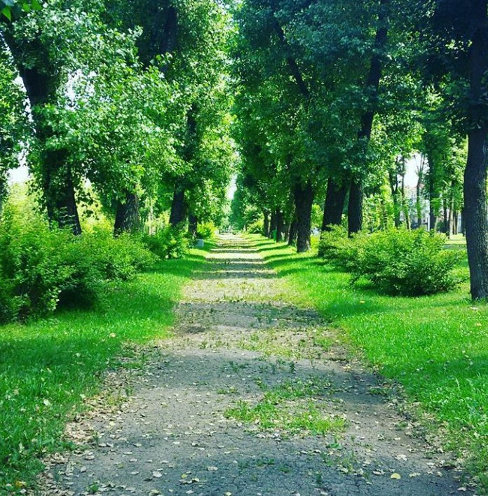 днем без людей