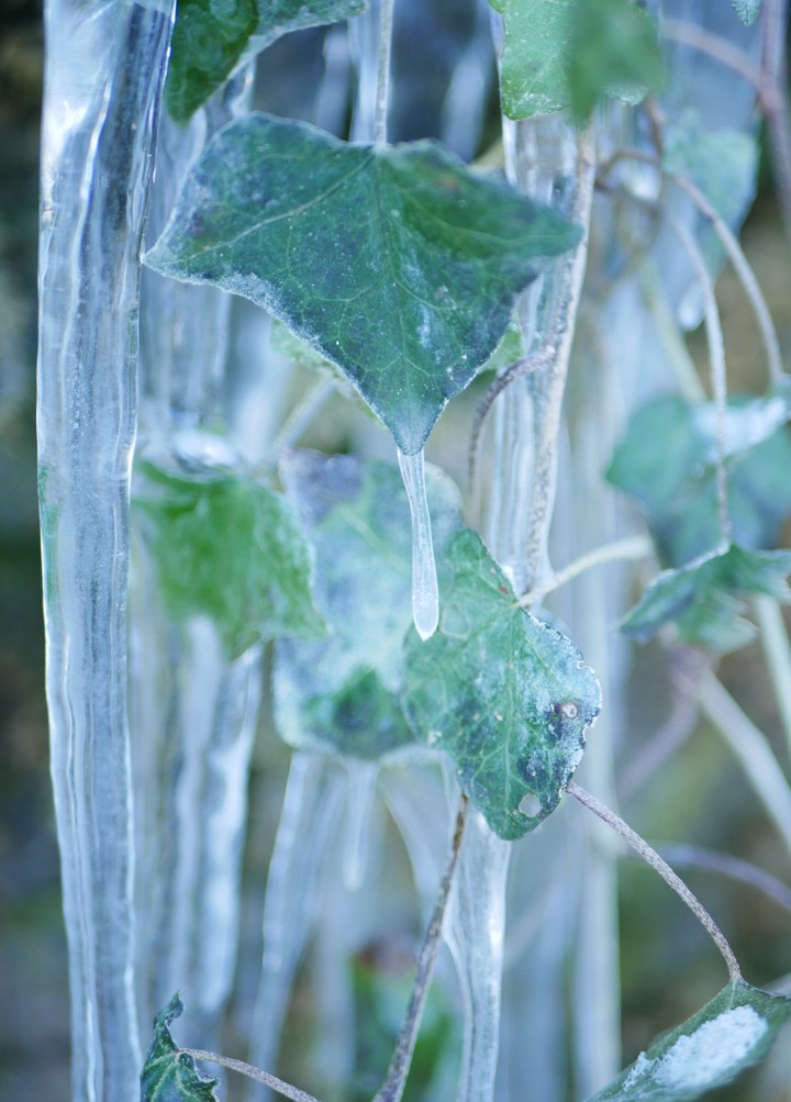 Ice