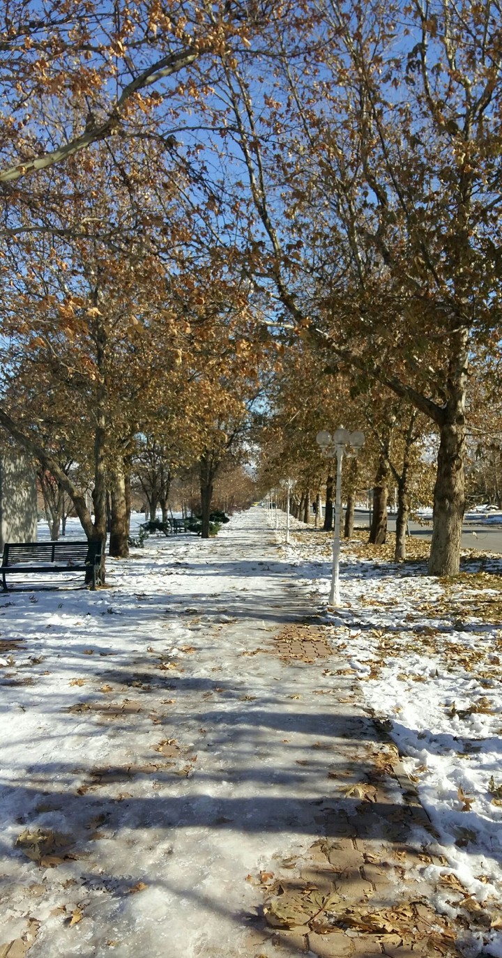 Kış (Winter)