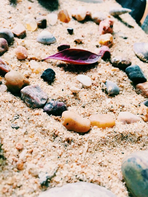 My click